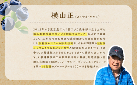 東京農工大学名誉教授「横山　正」ブランドのブルーベリー冷凍果実4パックセット（品種おまかせ）【東和ブルーベリー研究農園】