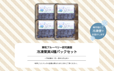 《2025年7月以降順次発送》東京農工大学名誉教授「横山　正」ブランドのブルーベリー冷凍果実500g（4パック）セット（品種おまかせ） ブルーベリー フルーツ 果物 冷凍果実 おすすめ お中元 お歳暮 ギフト 二本松市 ふくしま 福島県 送料無料【東和ブルーベリー研究農園】