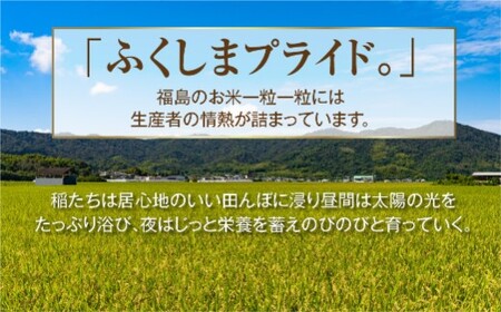 【 新米 】 令和6年産 4種食べくらべセット ( 5kg × 4袋 計 20kg ) コシヒカリ ひとめぼれ 天のつぶ ミルキークイーン 食べ比べ ギフト 贈答 美味しい 米 kome コメ ご飯 ブランド米 精米したて お米マイスター 匠 食味鑑定士 福島 ふくしま 田村 安藤米穀店