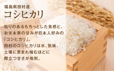 【令和6年産】定期便2回 田村産 コシヒカリ10kg お米 福島県 田村市 田村 贈答 美味しい 米 kome コメご飯  特Aランク  一等米 単一米 精米 国産 おすすめ お中元 送料無料  緊急支援品 生活応援 コロナ支援 ふぁせるたむら