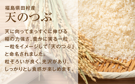 【令和6年産】定期便3回 田村産 天のつぶ10kg お米 福島県 田村市 田村 贈答 美味しい 米 kome コメご飯  特Aランク  一等米 単一米 精米 国産 おすすめ お中元 送料無料  緊急支援品 生活応援 コロナ支援 ふぁせるたむら