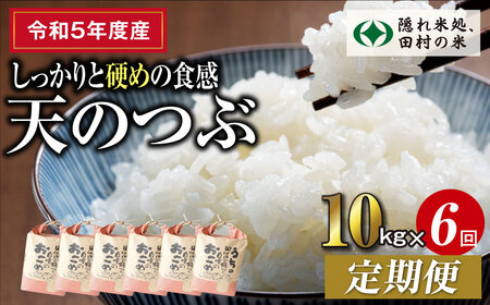 【令和5年産】定期便6回 田村産 天のつぶ10kg お米 福島県 田村市 田村 贈答 美味しい 米 kome コメご飯  特Aランク  一等米 単一米 精米 国産 おすすめ お中元 送料無料  緊急支援品 生活応援 コロナ支援 ふぁせるたむら