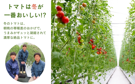 先行予約【訳あり】ミニトマト TYレッドオーレ 1kg 冬トマト 福島県 田村市