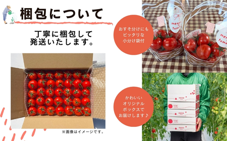 先行予約【訳あり】ミニトマト TYレッドオーレ 1kg 冬トマト 福島県 田村市