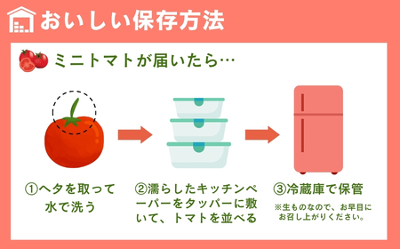 先行予約【訳あり】ミニトマト TYレッドオーレ 1kg 冬トマト 福島県 田村市