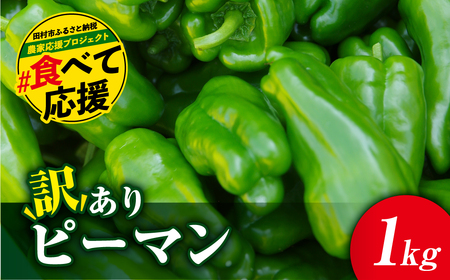 【先行予約 2025年発送】 農家さん応援！ 【訳あり】 ピーマン 1kg 農家直送 野菜 新鮮 BBQ 焼肉 国産 おすすめ 送料無料 緊急支援品 生活応援 コロナ支援 福島県 田村市 新田ファーム