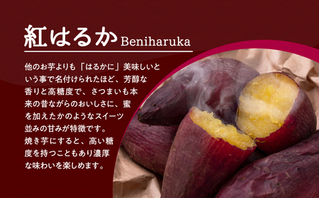 訳あり干し芋 切り落とし 1kg 2袋 (500g×2袋)  さつまいも 紅はるか 福島県 田村市
