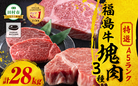 肉 牛肉 福島県産 A5 塊3種 詰合せ 計28kg スパイス付 福島県 田村市