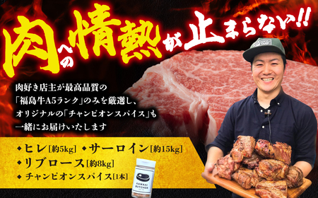 肉 牛肉 福島県産 A5 塊3種 詰合せ 計28kg スパイス付 福島県 田村市