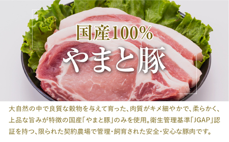 ハム ベーコン ソーセージ ウインナー 6種セット 肉 豚肉 やまと豚 福島県 田村市