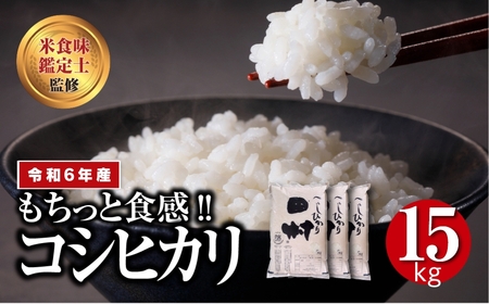 新米! 【令和4年産】福島県田村産コシヒカリ15kg