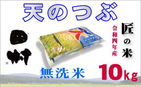 【無洗米】福島産天のつぶ10kg(5kg×2袋)【令和4年産】