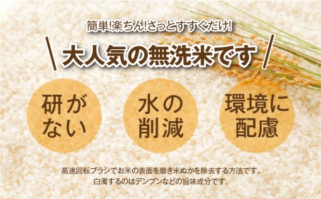 ＼ 年内発送 12/24(火)決済完了分まで！／【 新米 】【 無洗米 】 令和6年産 田村産 コシヒカリ 10kg ( 5kg × 2袋 ) 精米 白米 贈答 ギフト プレゼント 美味しい 米 kome コメ ご飯 ブランド米 精米したて お米マイスター 匠 食味鑑定士 福島 ふくしま 田村 安藤米穀店