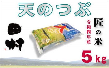 福島産天のつぶ5kg(5kg×1袋)【令和4年産】