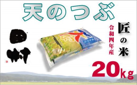 福島産天のつぶ20kg(5kg×4袋)【令和4年産】