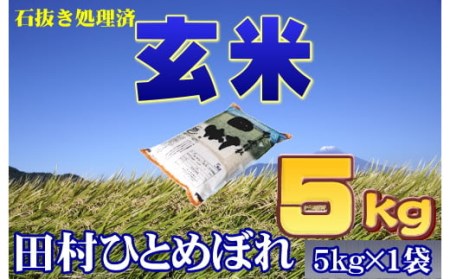 【玄米】 田村市産ひとめぼれ5kg【令和4年産】