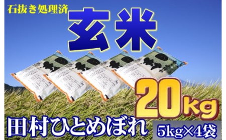 【玄米】 田村市産ひとめぼれ20kg(5kg×4袋)【令和4年産】