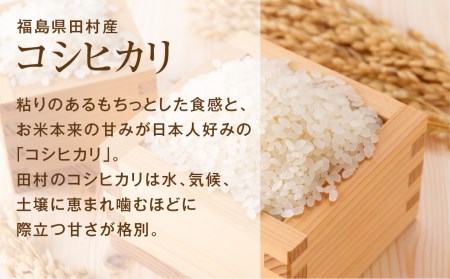 ＼ 年内発送 12/24(火)決済完了分まで！／【 新米 】【 無洗米 】 令和6年産 田村産 コシヒカリ 5kg 先行予約 精米 白米 贈答 ギフト プレゼント 美味しい 米 kome コメ ご飯 ブランド米 精米したて お米マイスター 匠 食味鑑定士 福島 ふくしま 田村 安藤米穀店