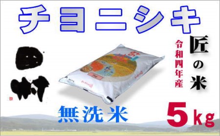 【無洗米】福島産チヨニシキ5kg【令和4年産新米】