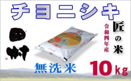 【無洗米】福島産チヨニシキ10kg(5kg×2袋)【令和4年産新米】