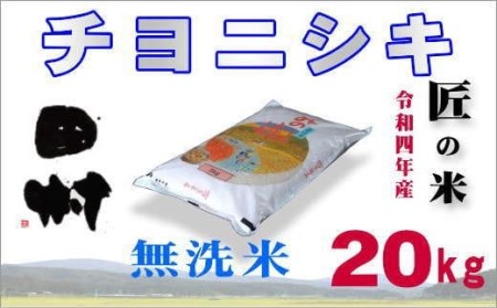【無洗米】福島産チヨニシキ20kg(5kg×4袋)【令和4年産】
