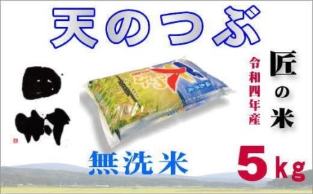 【無洗米】福島産天のつぶ5kg(5kg×1袋)【令和4年産】