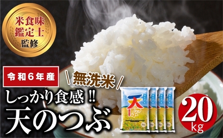【無洗米】福島産天のつぶ20kg(5kg×4袋)【令和4年産】