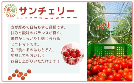 【先行予約】 ミニトマト サンチェリー 1kg 農家直送 福島県 田村市