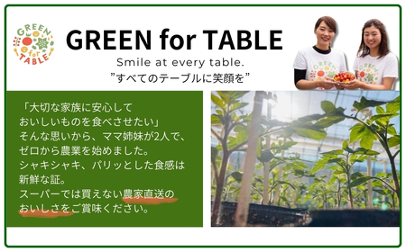 【先行予約】 ミニトマト サンチェリー 1kg 農家直送 福島県 田村市