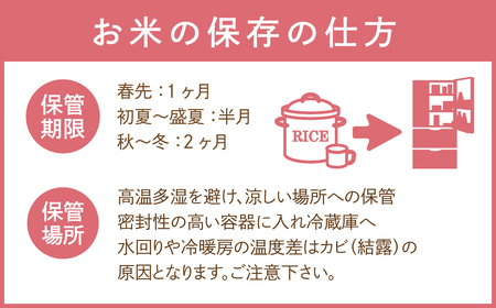 【令和6年産】定期便3回 田村市産 ひとめぼれ10kg お米 福島県 田村市 田村 贈答 美味しい 米 kome コメご飯  特Aランク  一等米 単一米 精米 国産 おすすめ お中元 送料無料  緊急支援品 生活応援 コロナ支援 ふぁせるたむら