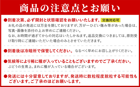先行予約 あづましずく 約1kg ぶどう 果物 フルーツ 福島県 田村市 