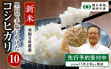 農家直送 令和5年産 新米コシヒカリ 白米10キロ 熊本県