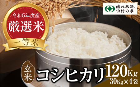 中米…新米米/穀物