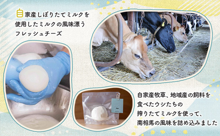 手作りモッツァレラチーズ 福島 | 南相馬市 モッツアレラチーズ