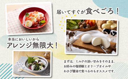 手作りモッツァレラチーズ 福島 | 南相馬市 モッツアレラチーズ