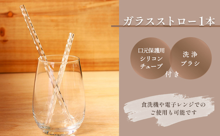 ガラスストロー 20cm「ドット」 iriser | 耐熱ストロー