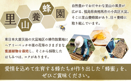 ミード酒(home MEAD) 蜂蜜・蜂蜜のお酒のセッと | ミード