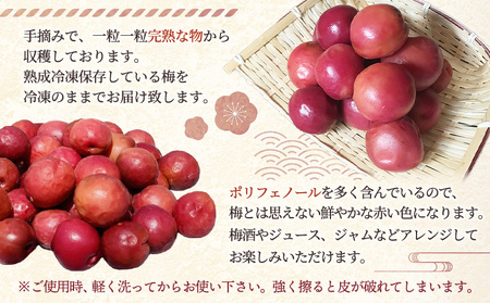 小高の露茜 (完熟熟成冷凍梅) 1kg | 梅 福島県
