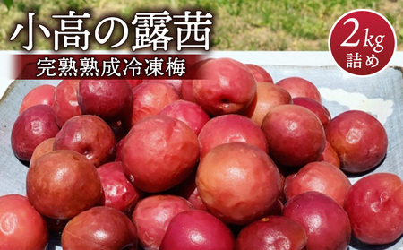 小高の露茜 (完熟熟成冷凍梅) 2kg | 梅 福島県