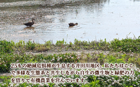 JAS有機米 にじのきらめき 白米 5kg 令和7年産 | みさき未来