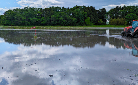 JAS有機米 にじのきらめき 白米 5kg 令和7年産 | みさき未来