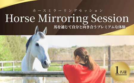 ホースミラーリングセッション 1名様 | 乗馬 福島県 南相馬市