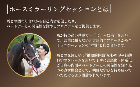 ホースミラーリングセッション 1名様 | 乗馬 福島県 南相馬市