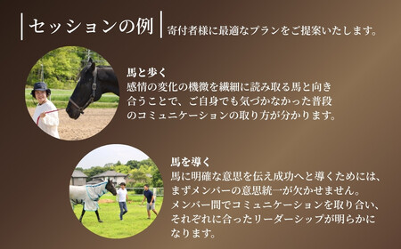 ホースミラーリングセッション 1名様 | 乗馬 福島県 南相馬市