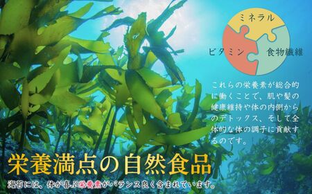 韓国はねのり 訳あり 全形105枚(35枚×3袋)|お徳用 規格外 味付け 大容量セット 黒潮海苔店