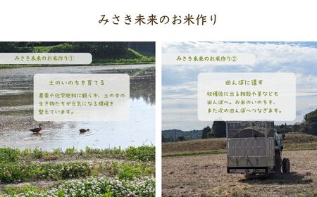 令和7年産 コシヒカリ 玄米 10kg | 農薬・化学肥料不使用 みさき未来