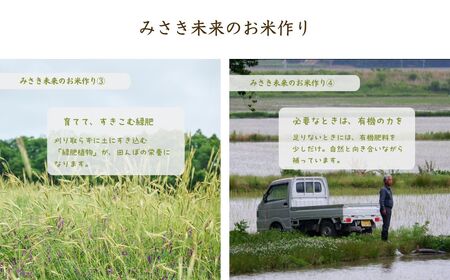 JAS有機米 令和7年産 にじのきらめき 玄米 5kg | みさき未来