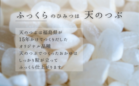 ふっくら白がゆ 250g×20パック 無添加 国産100% | お粥 レトルト 天のつぶ