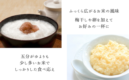 ふっくら白がゆ 250g×20パック 無添加 国産100% | お粥 レトルト 天のつぶ