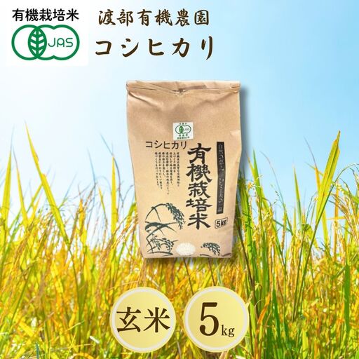JAS有機米 コシヒカリ 玄米 5kg | 令和7年産 渡部有機農園